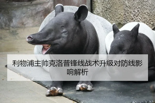 利物浦主帅克洛普锋线战术升级对防线影响解析